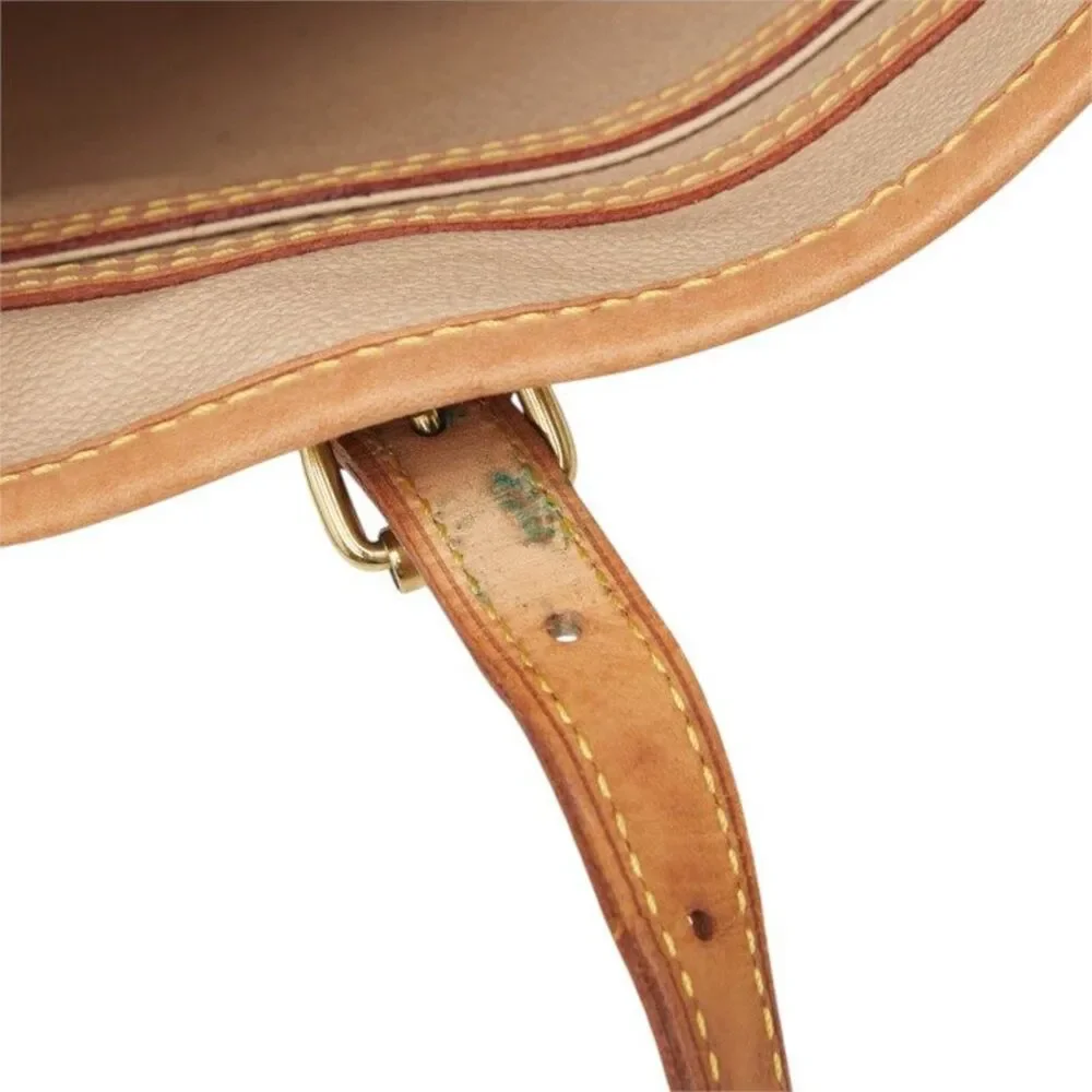 Louis Vuitton Petit Bucket PM Monogram Shoulder Bag